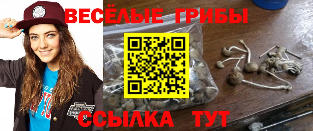 Псилоцибиновые грибы мухоморы  Вход с VPN  Нефтекамск 